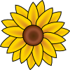 free vector Sunflower clip art