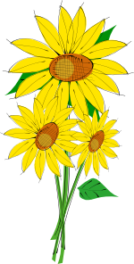 free vector Sunflowers clip art