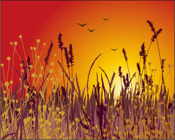 free vector Sunset scenery vector material
