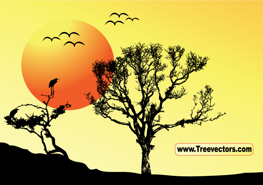 free vector Sunset Vector Tree Background