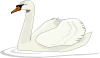 free vector Swan Swimming clip art