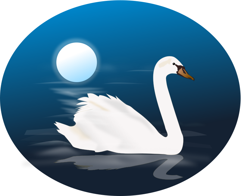 free vector Swan
