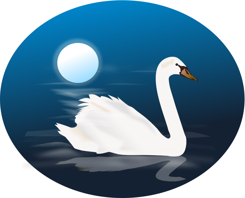 Swan (101201) Free SVG Download / 4 Vector