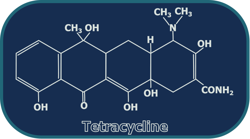 free vector Tetracycline Structure