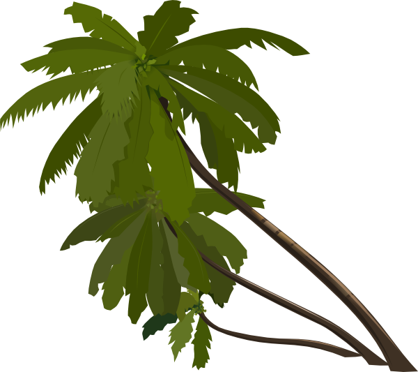 free vector Three Palm Trees clip art