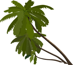 free vector Three Palm Trees clip art