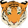 free vector Tiger clip art