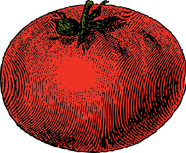 free vector Tomato clip art