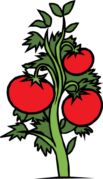 free vector Tomato Plant clip art