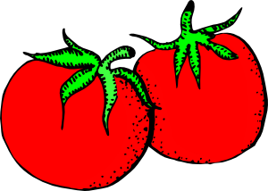free vector Tomatoes clip art