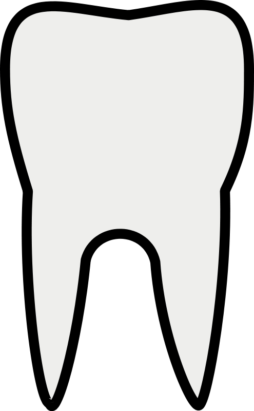 free vector Tooth Line Art