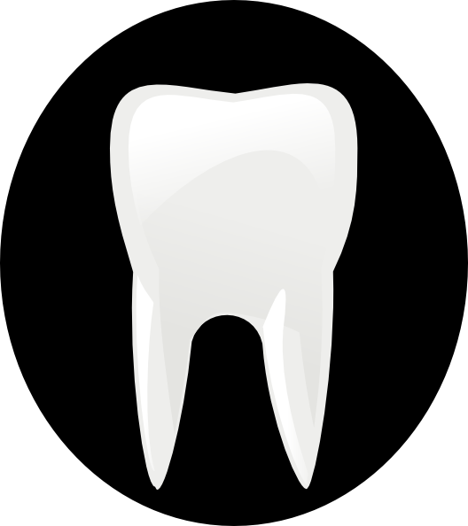 free vector Tooth Molar clip art