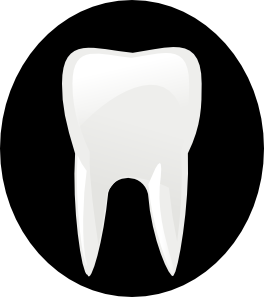 free vector Tooth Molar clip art