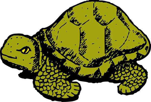 free vector Tortoise clip art