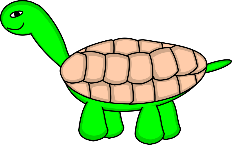 free vector TortoiseStage6_Final