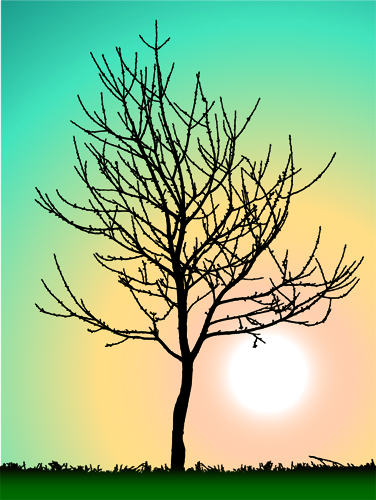 free vector Trees no leaves vector material