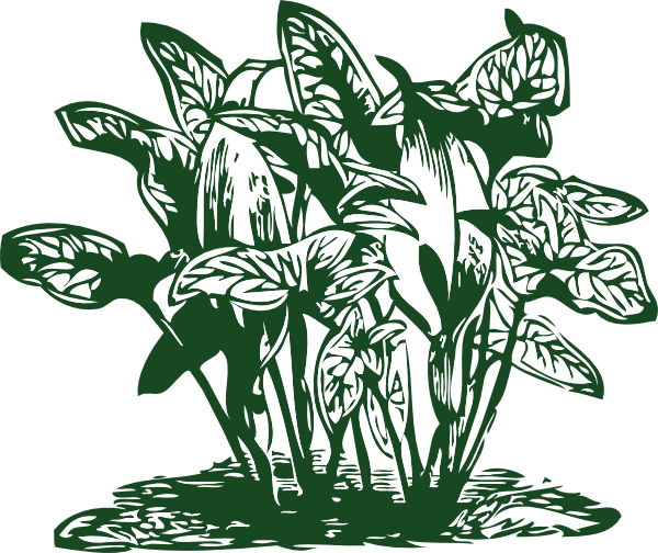 free vector Tropical Plants clip art