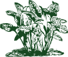 free vector Tropical Plants clip art