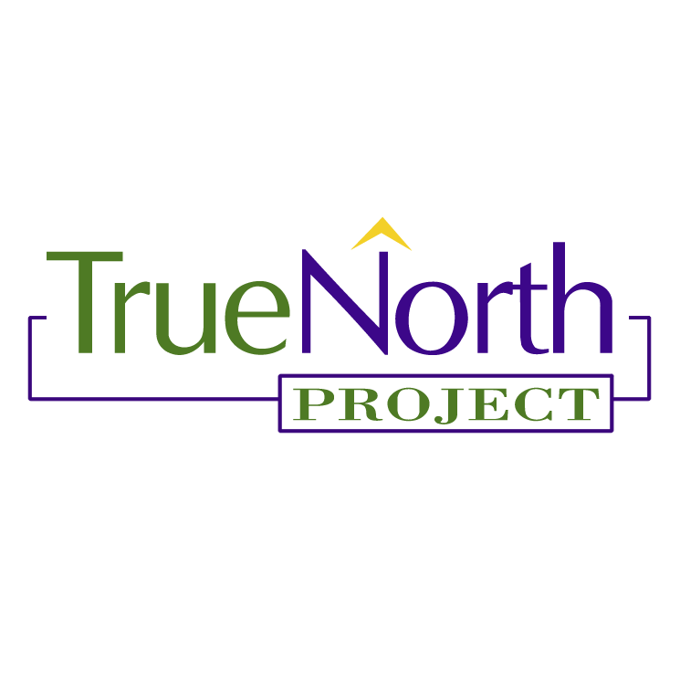 free vector True north project