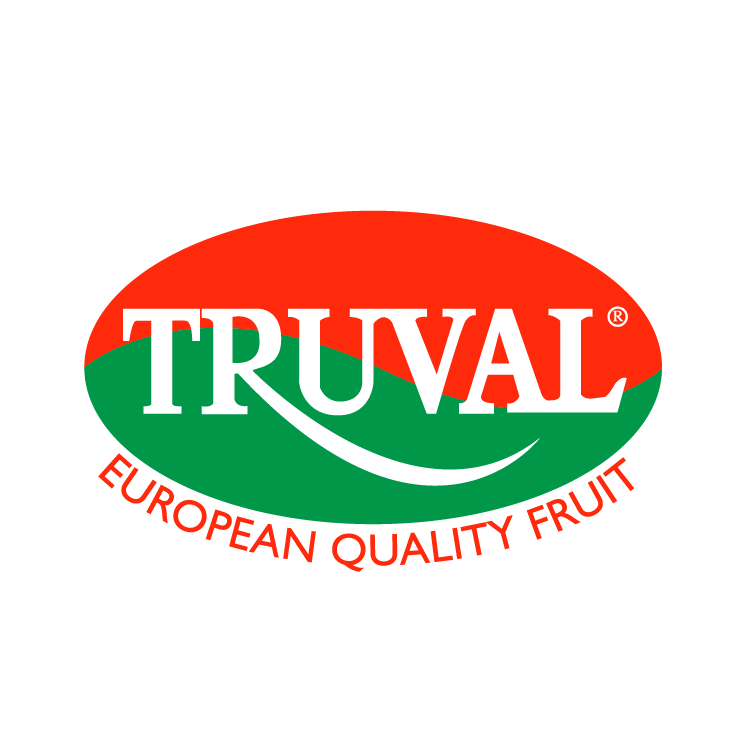 free vector Truval