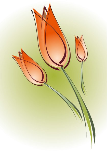 free vector Tulip vector