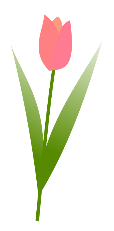 free vector Tulip