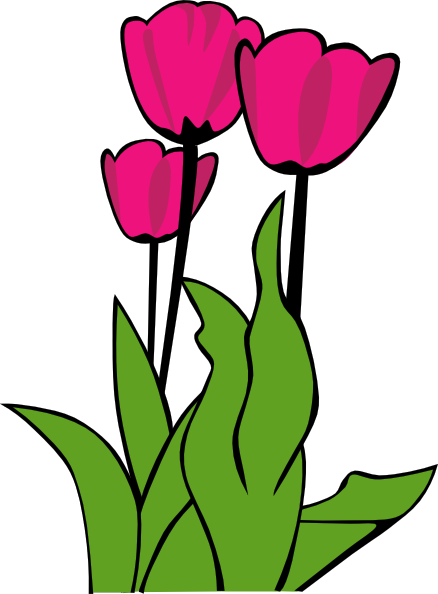 free vector Tulips In Bloom clip art