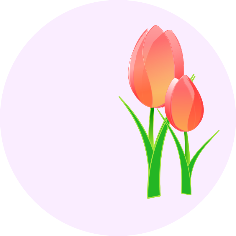 free vector Tulips