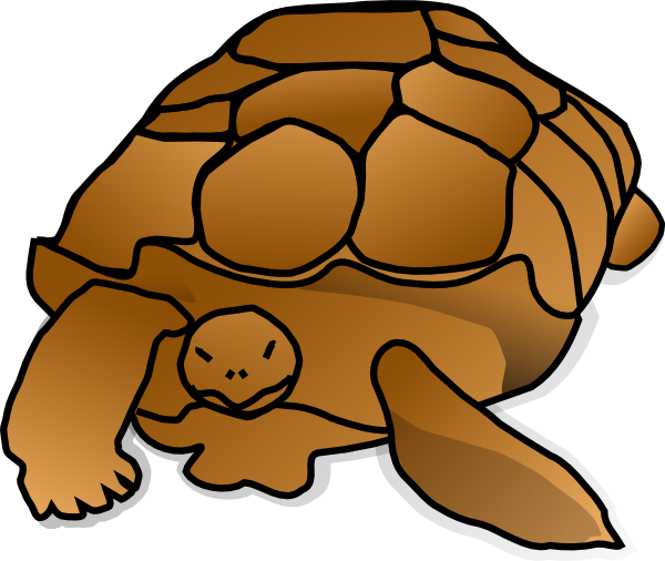 Download Turtle_clip art (119266) Free SVG Download / 4 Vector