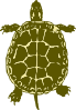 free vector Turtle clip art