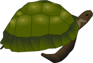 free vector Turtle clip art