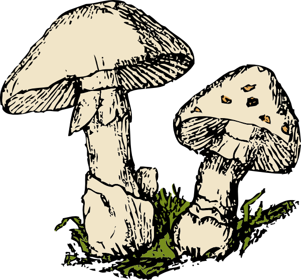 free vector Two Mushrooms clip art