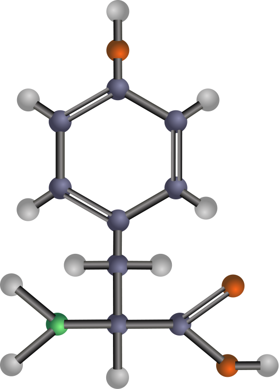 free vector Tyrosine (amino acid)