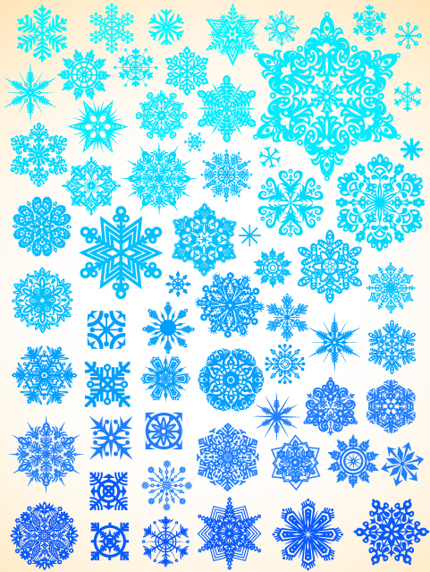free vector Variety of snowflakes vector 1