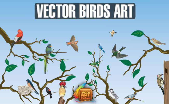 free vector Vector Birds Art