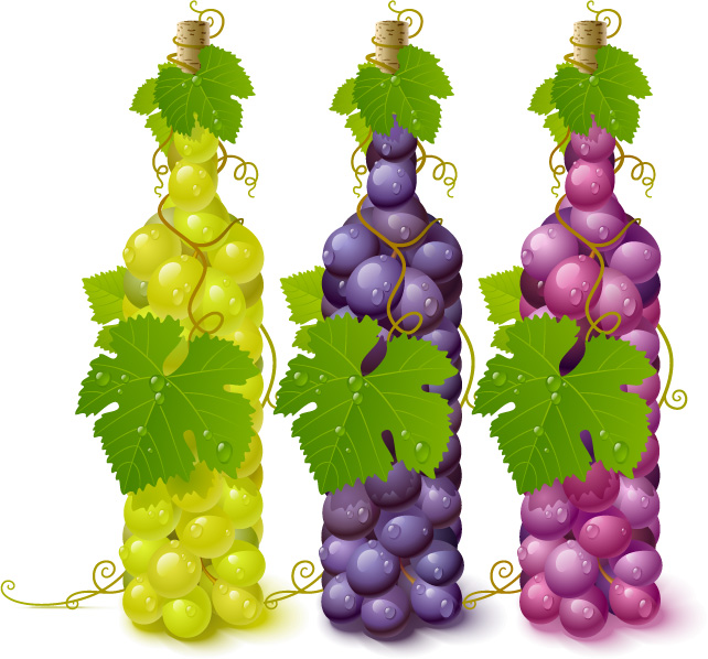 free vector Vector bottle filled with grapes