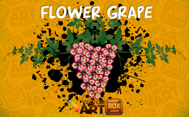free vector Vector Flower Grape