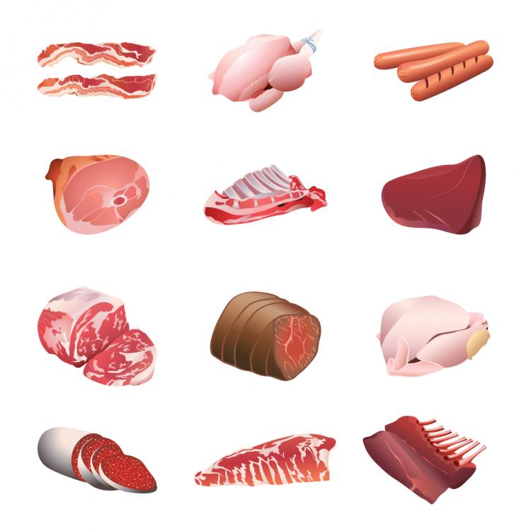 vector free download meat - photo #1