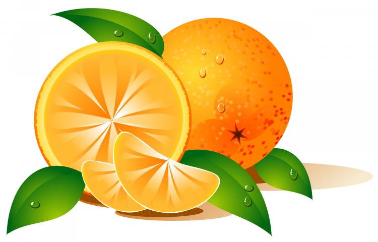 free vector 
								Vector Fruits							