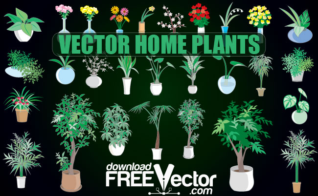 free vector Vector Home Plants