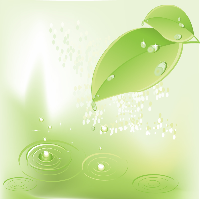 free vector Vector Ladybird Green Leaf Material Drops Vector