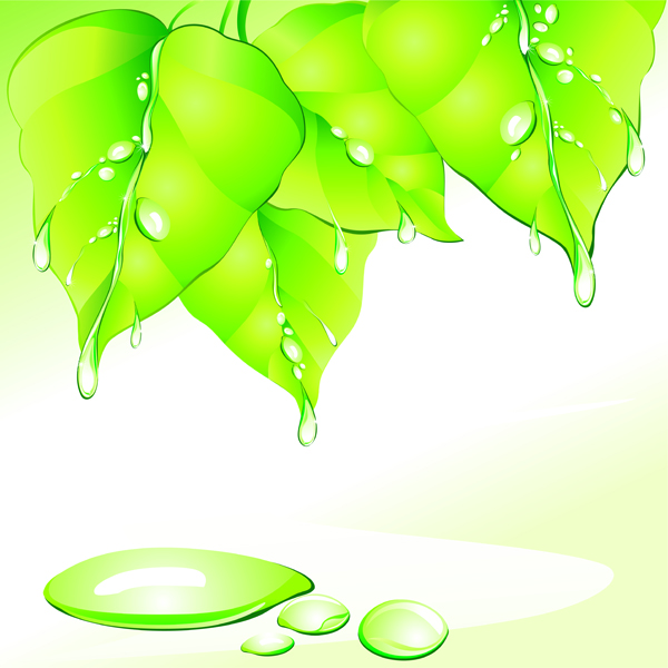 free vector Vector leaves drops