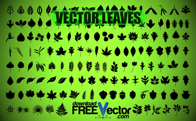 free vector Vector Leaves