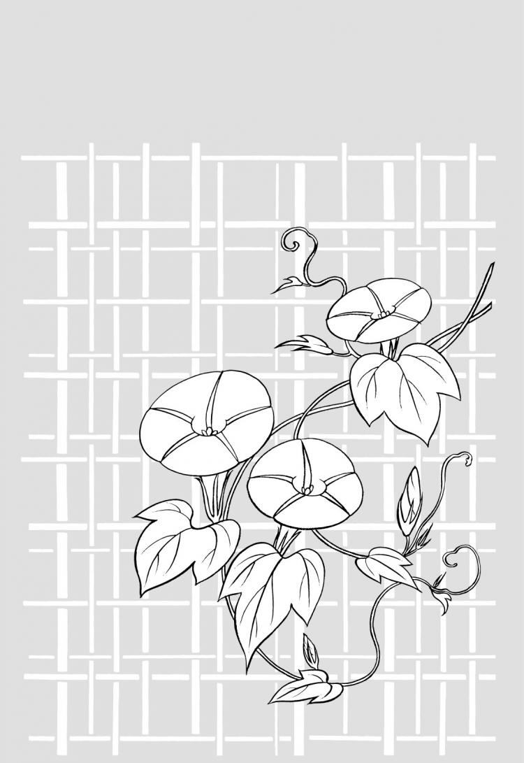 free vector Vector line drawing of flowers-26(Morning glory, lattice background)