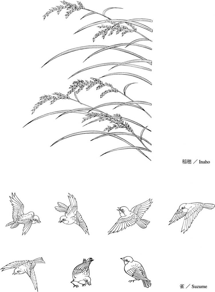 free vector Vector line drawing of flowers-33(Rice, birds)
