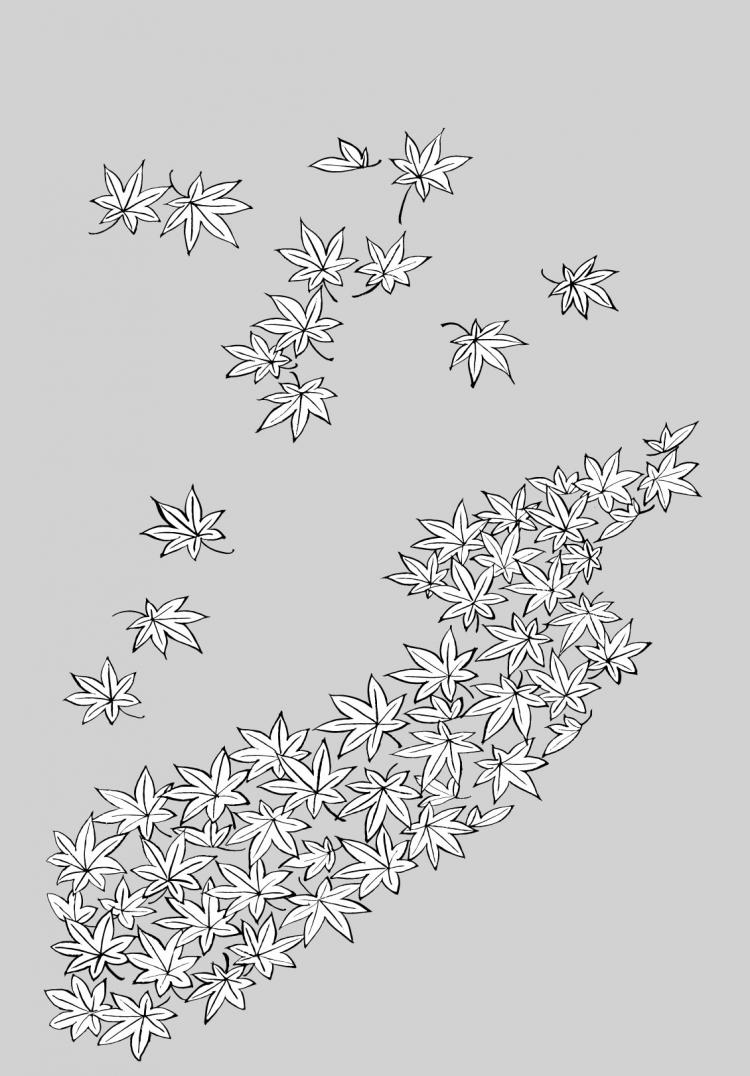 free vector Vector line drawing of flowers-34(Maple Leaf)