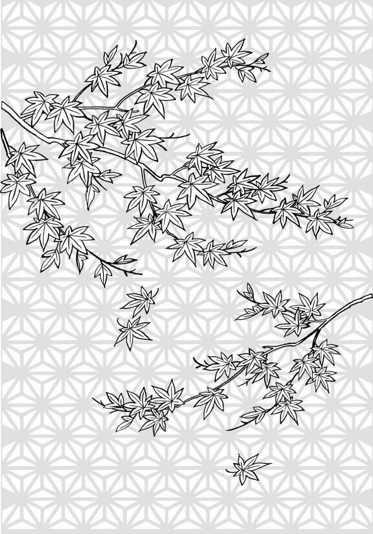 free vector Vector line drawing of flowers-34(Maple Leaf)