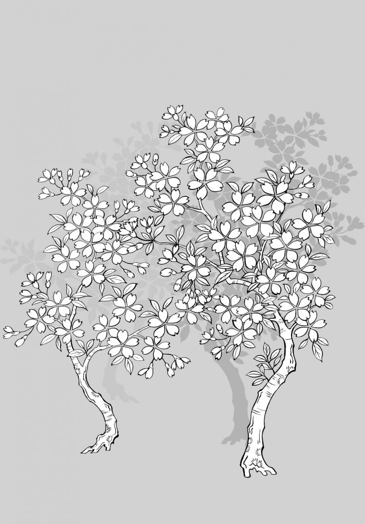 free vector Vector line drawing of flowers--41Cherry, classical background)