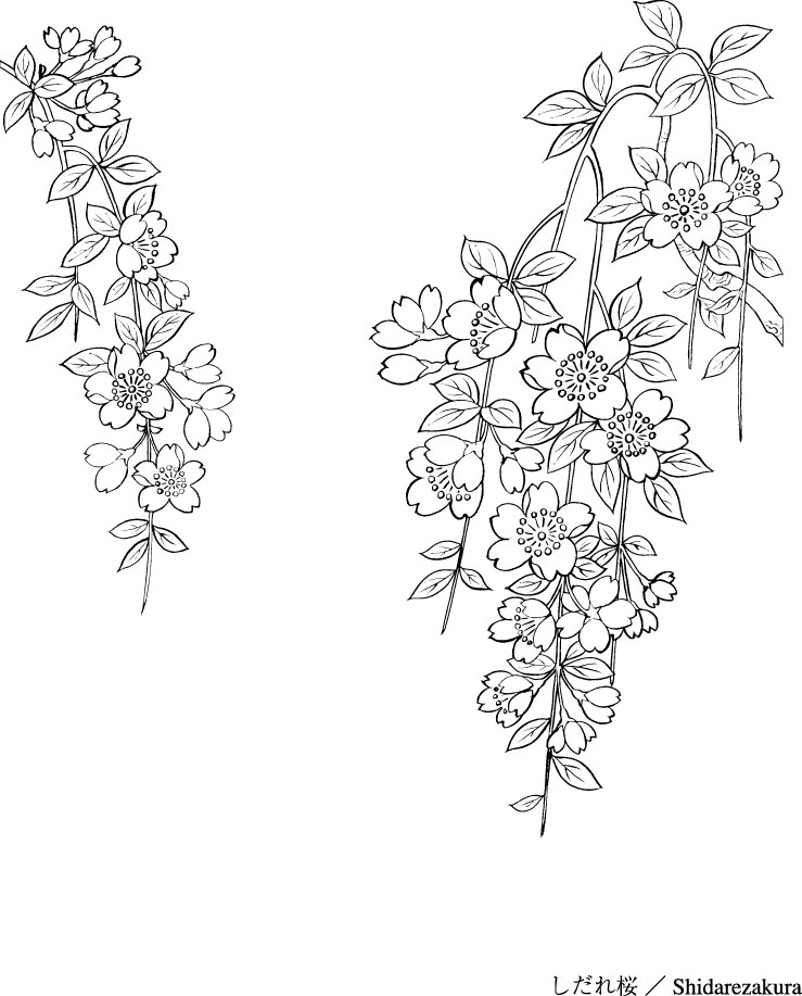 japanese flower drawing