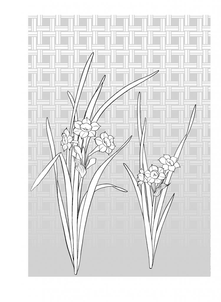 free vector Vector line drawing of flowers-48(Flowers and grass)